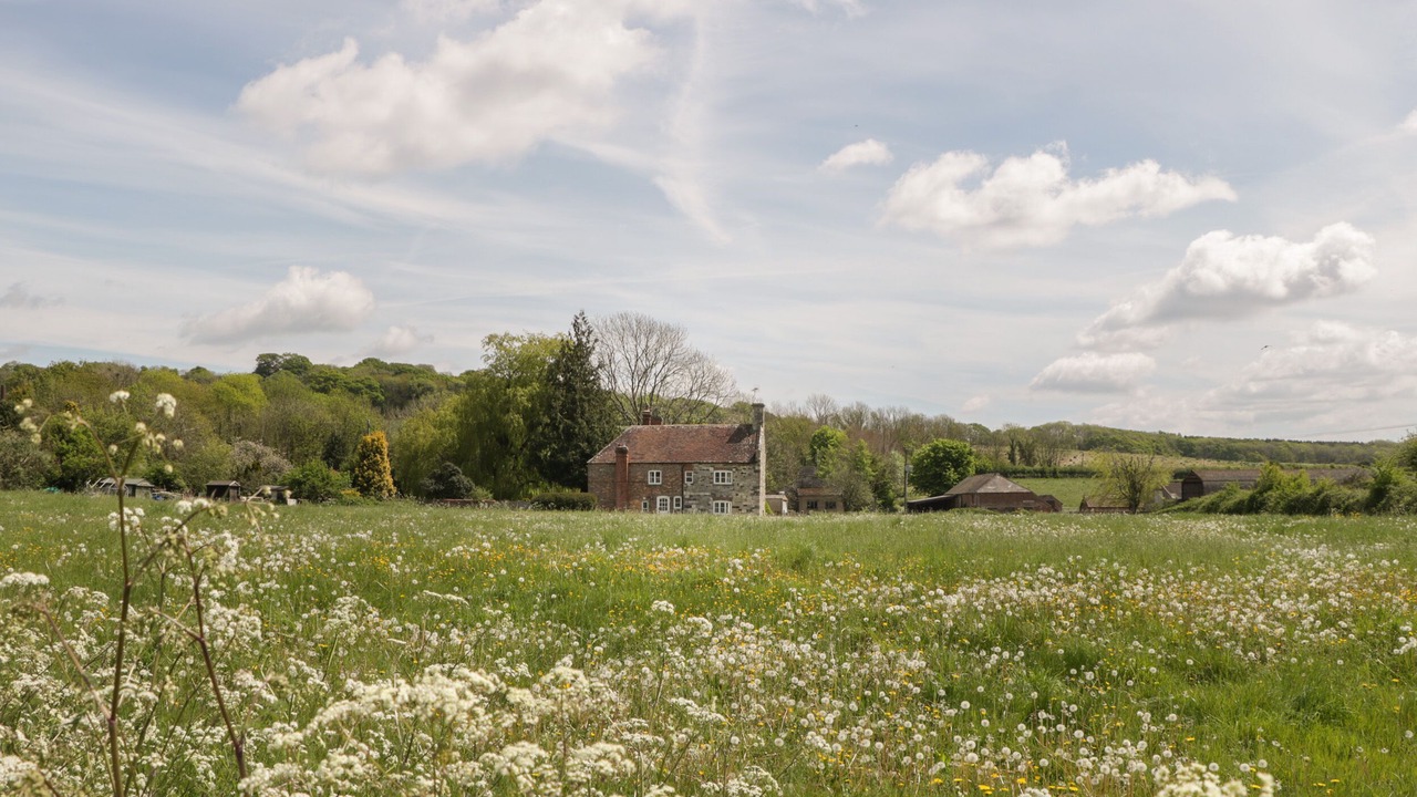 Photo of Outdoor in Bere Regis