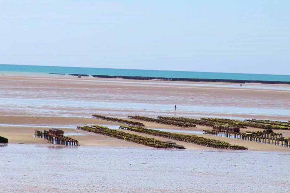 Photo of Others in Montmartin-sur-Mer