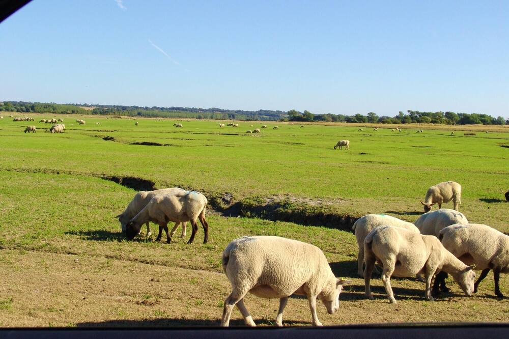 Photo of Outdoor in Montmartin-sur-Mer