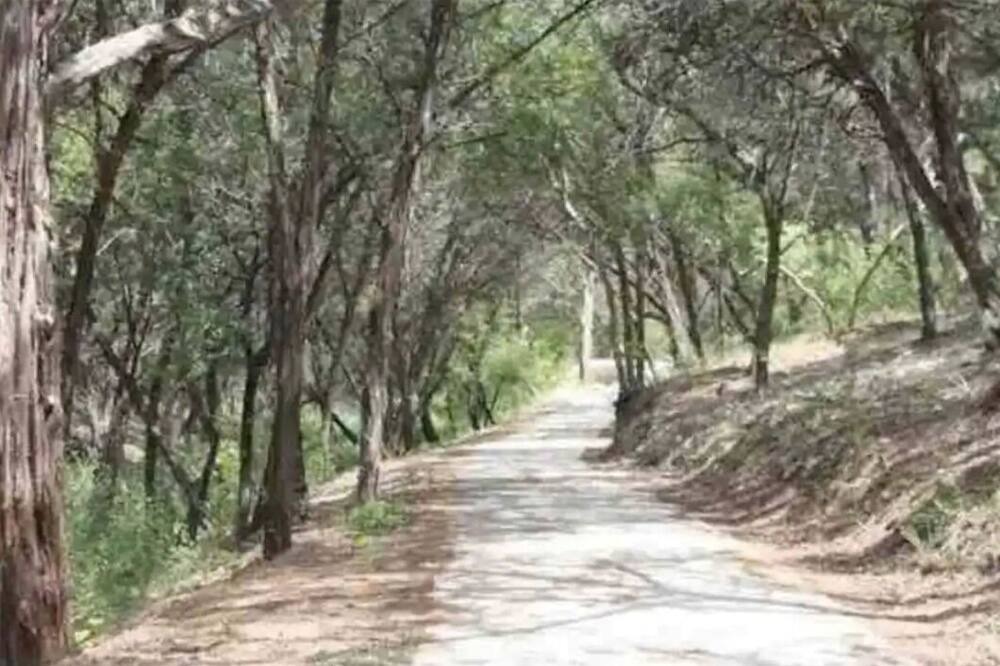 Photo of Outdoor in Jonestown