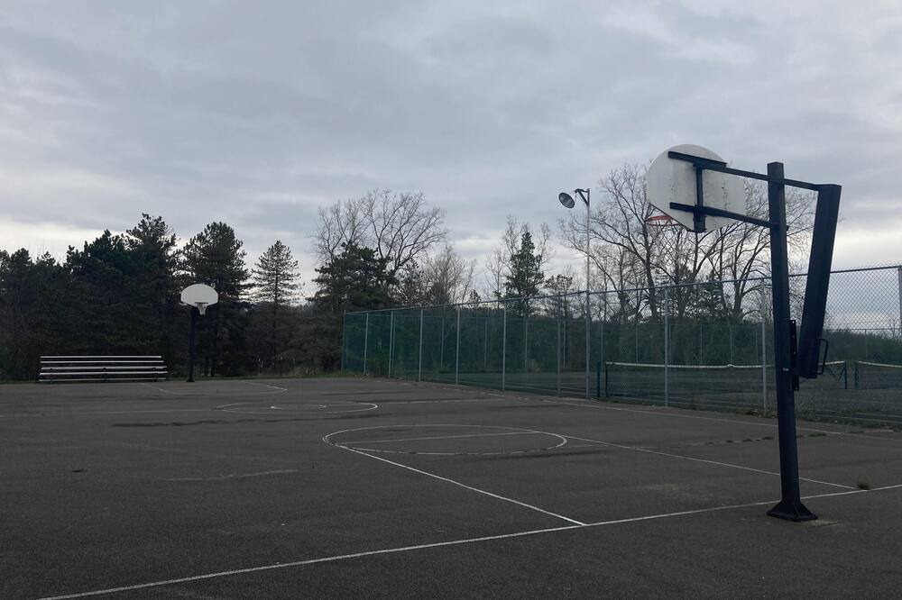 Photo of Others in Honeoye Falls