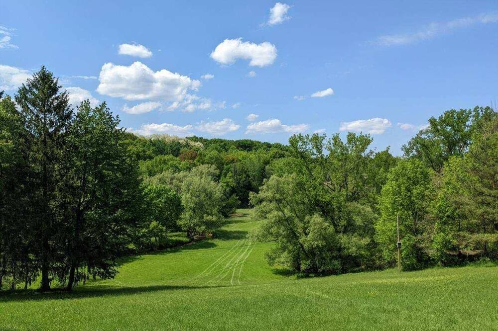 Photo of Others in Honeoye Falls
