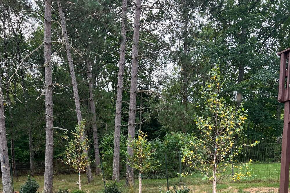 Photo of Outdoor in Deposit