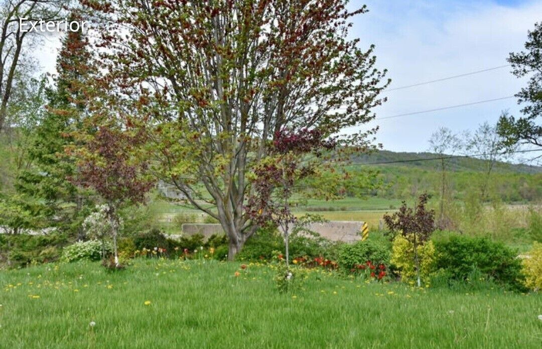 Photo of Outdoor in Glen Huron