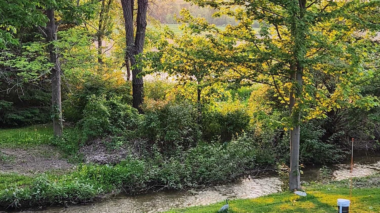 Photo of Outdoor in Glen Huron