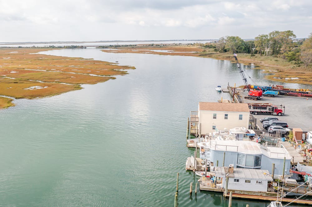 Photo of Others in Seaford