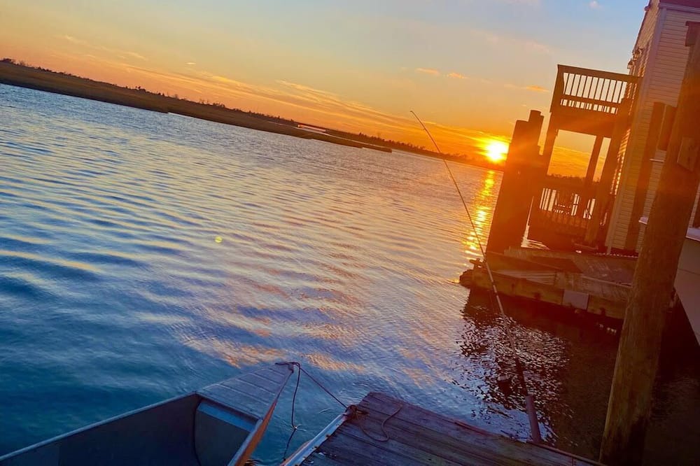 Photo of Others in Seaford