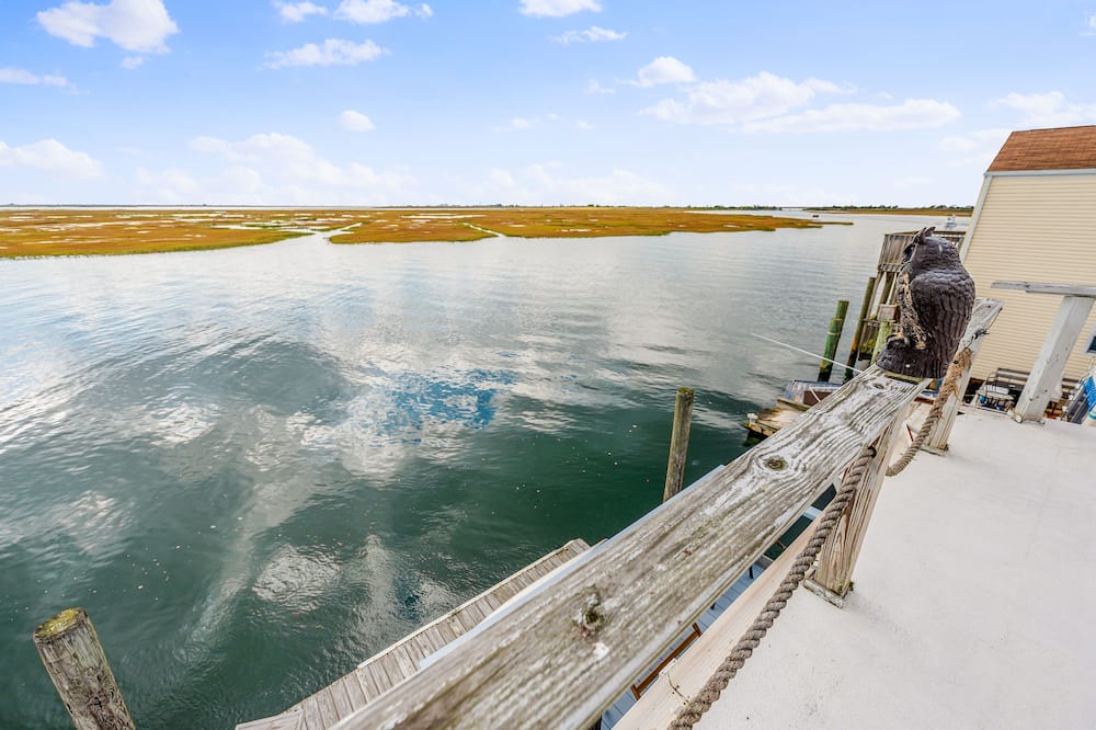 Photo of Others in Seaford