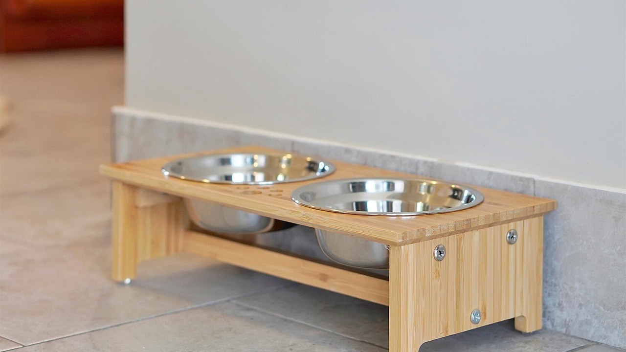 Photo of Others in Cocoa Isles