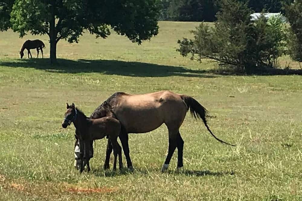 Photo of Others in Social Circle