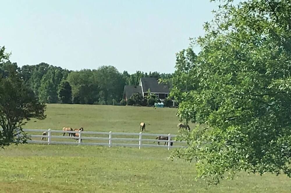 Photo of Others in Social Circle