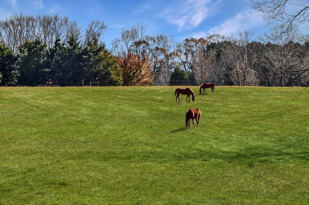 Photo of Others in Social Circle