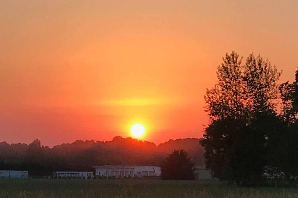 Photo of Others in Social Circle