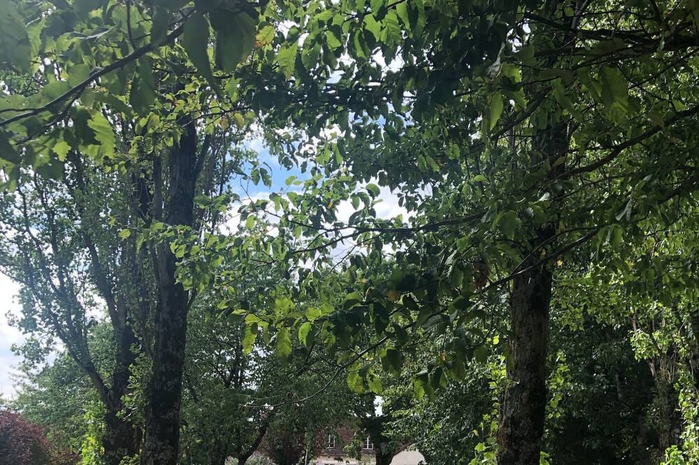 Photo of Outdoor in Manthelan