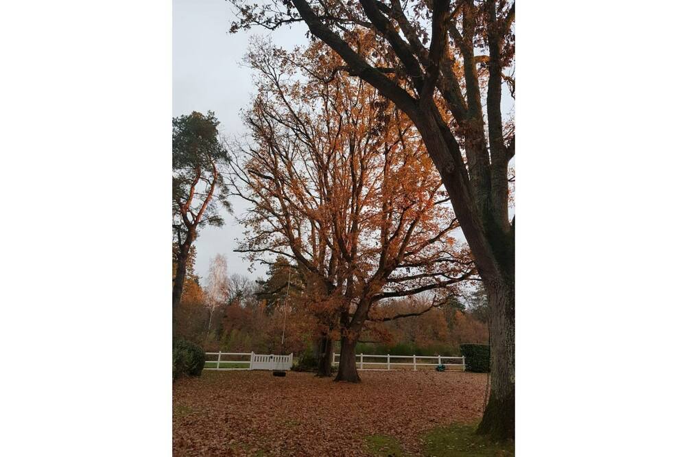 Photo of Outdoor in Milly-la-Foret
