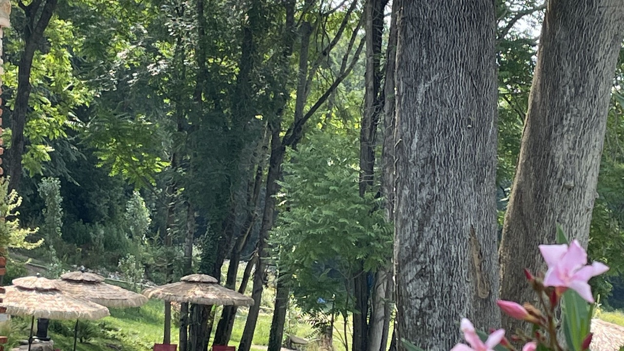 Photo of Outdoor in Albi