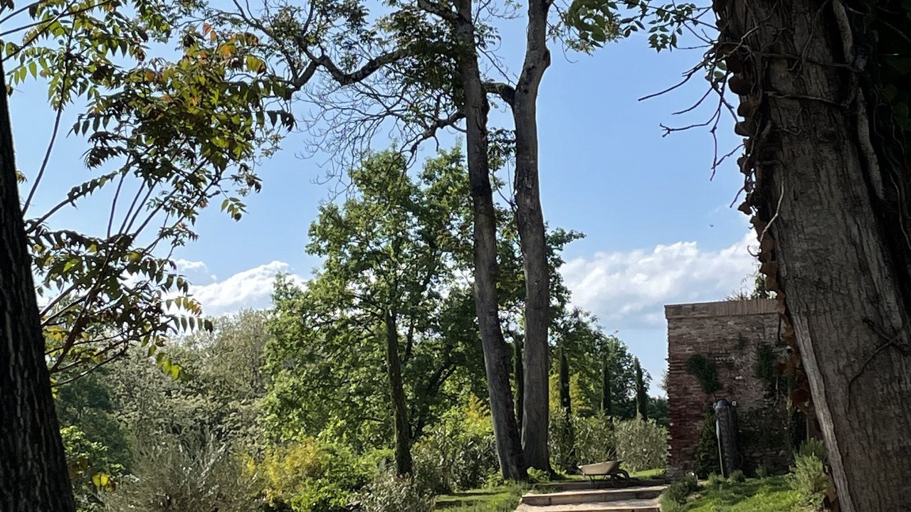 Photo of Outdoor in Albi