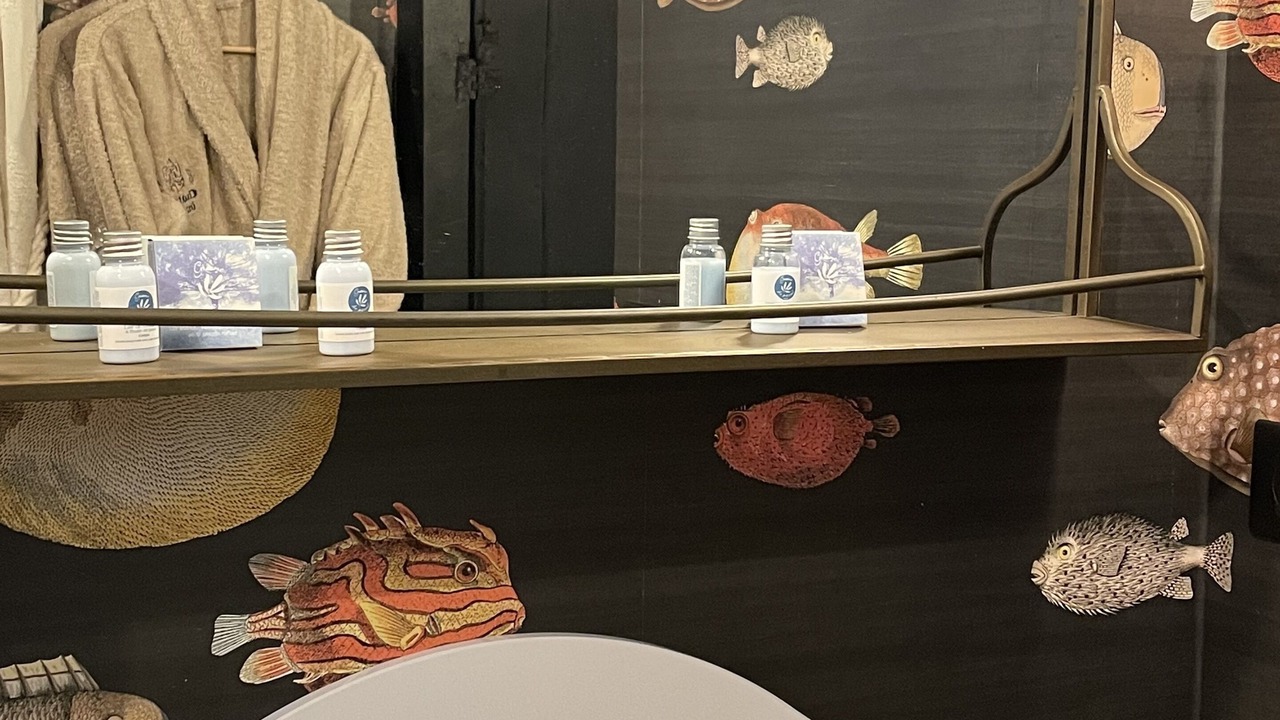 Photo of Bathroom in Albi