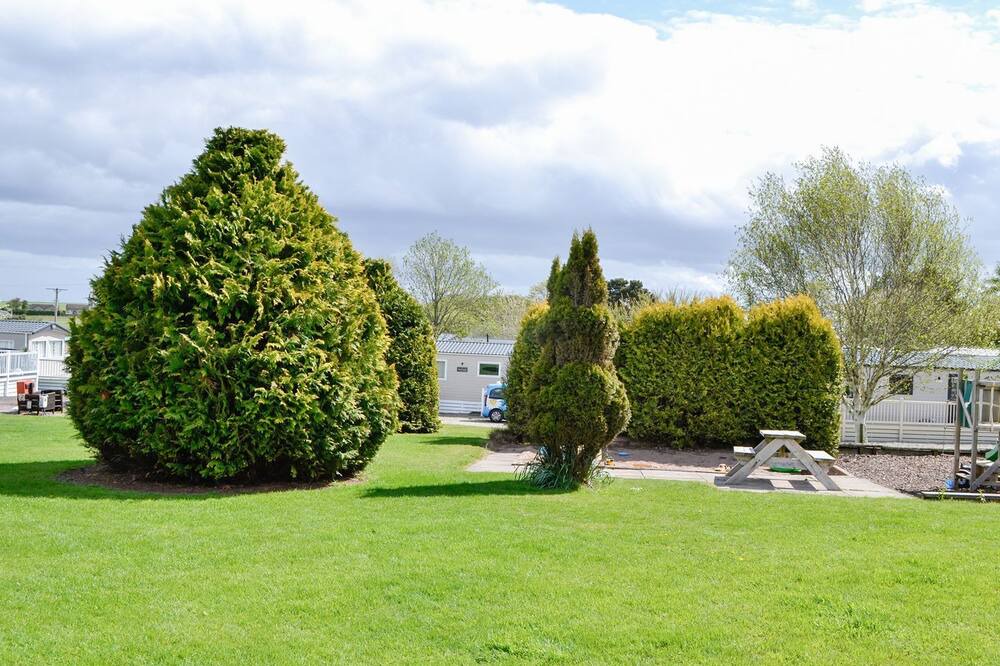 Photo of Outdoor in Saint Cyrus