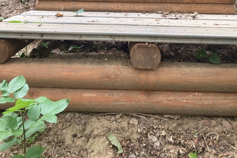 Photo of Outdoor in Minnetonka