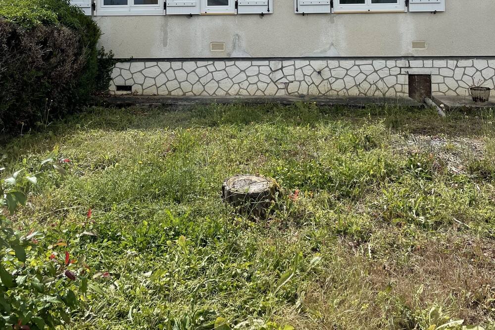 Photo of Outdoor in Tannay