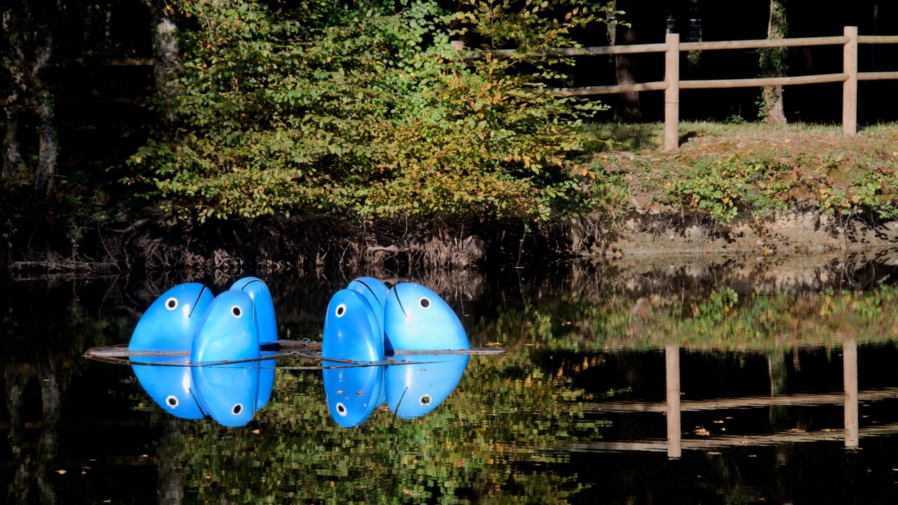 Photo of Outdoor in Pire-sur-Seiche