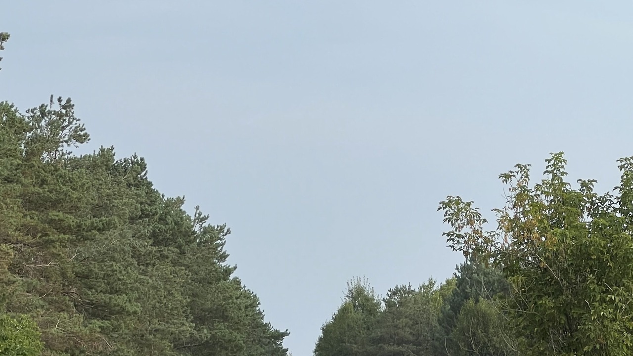 Photo of Others in Grand Barachois