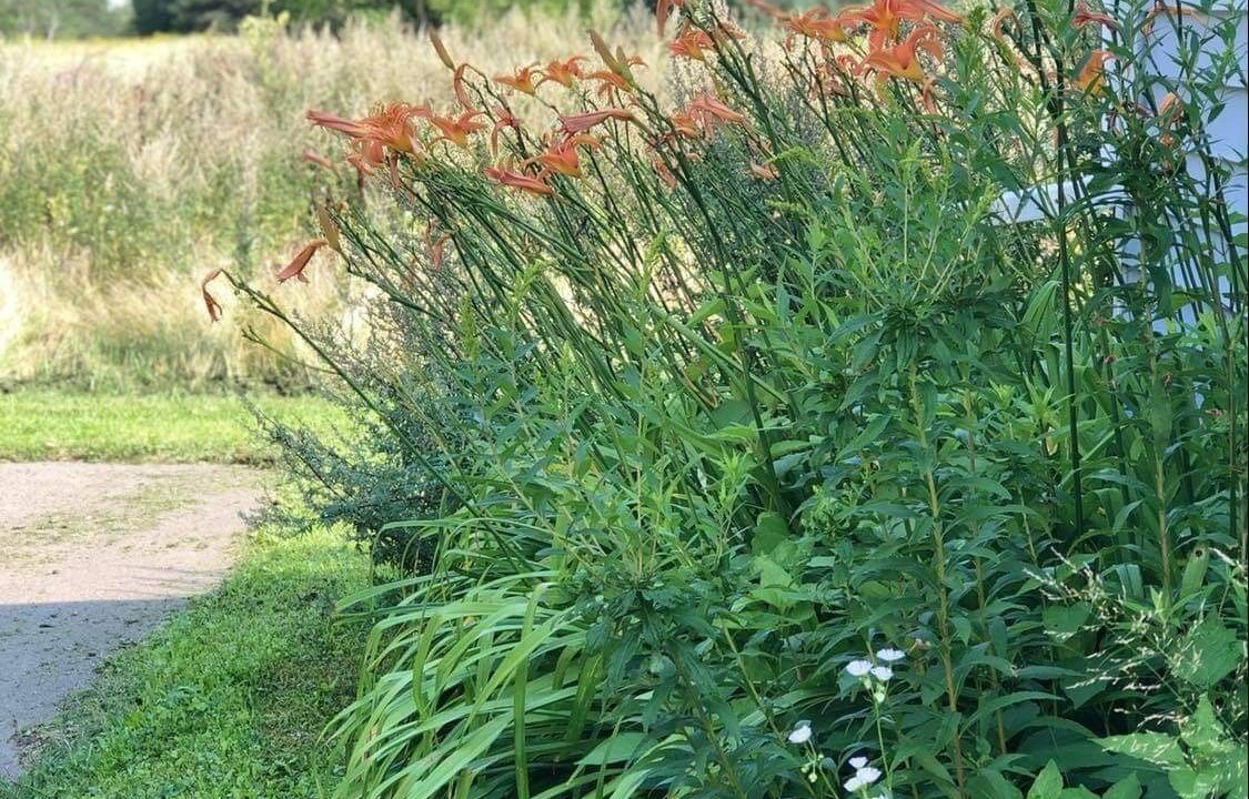 Photo of Outdoor in Grand Barachois