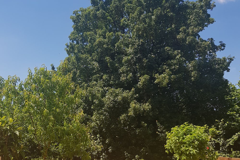 Photo of Outdoor in Heuze - Saint-Georges