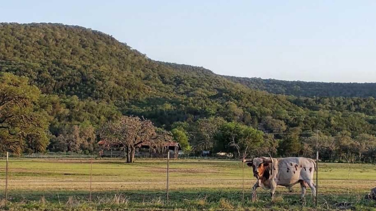 Photo of Outdoor in Tarpley