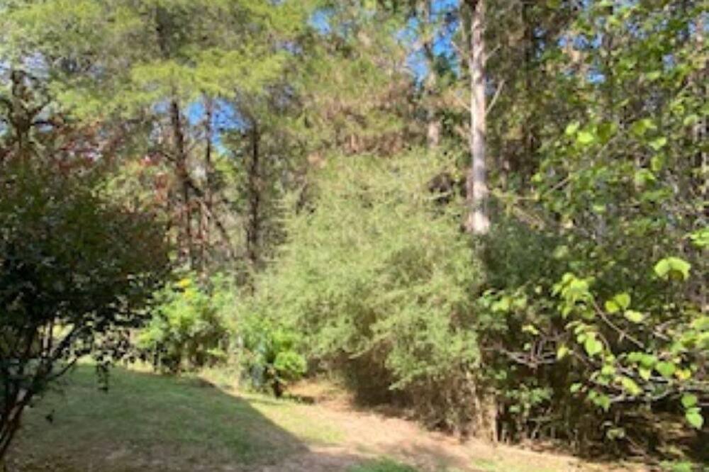 Photo of Outdoor in New Ulm