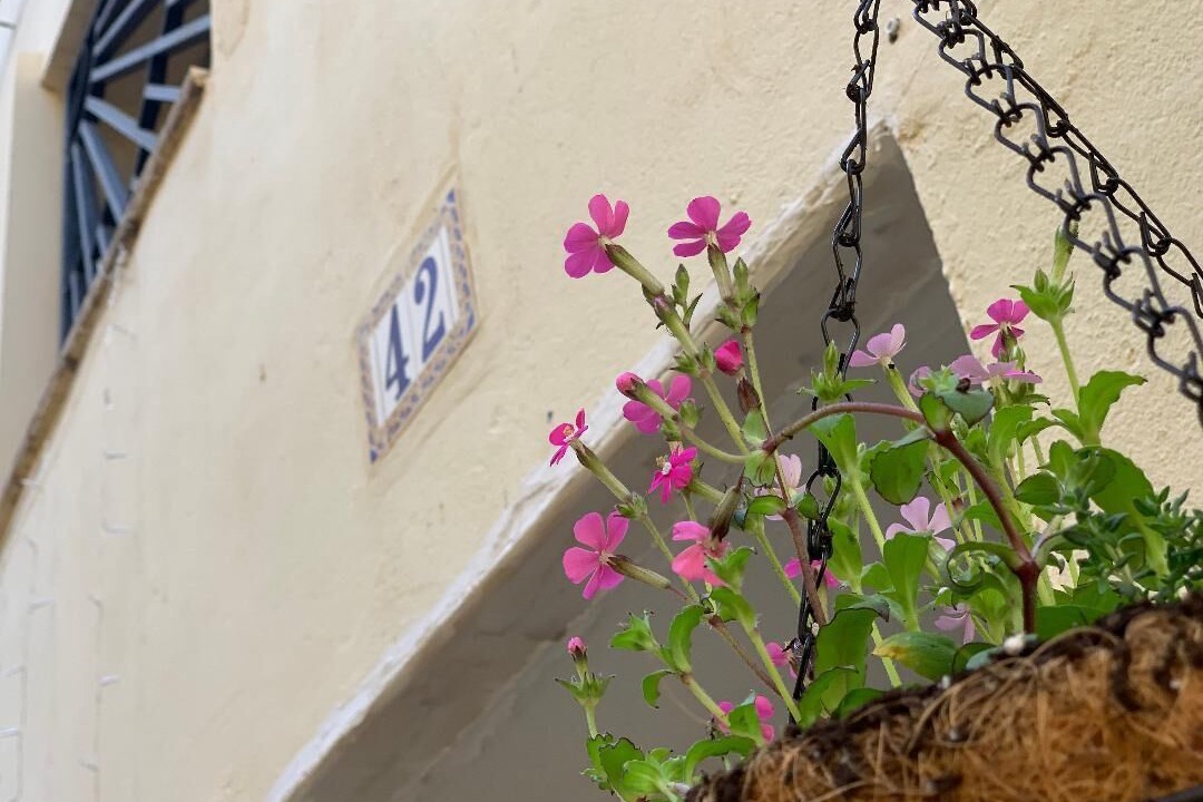 Photo of Outdoor in Alloza