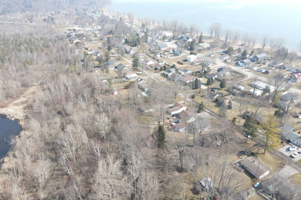 Photo of Others in Turkey Point