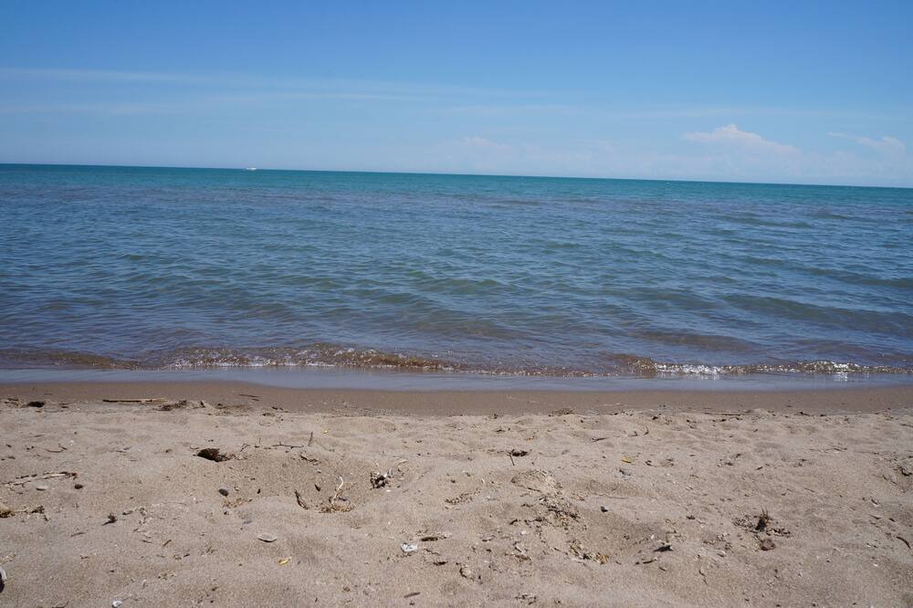 Photo of Others in Turkey Point
