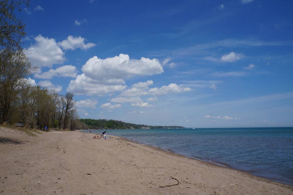 Photo of Others in Turkey Point