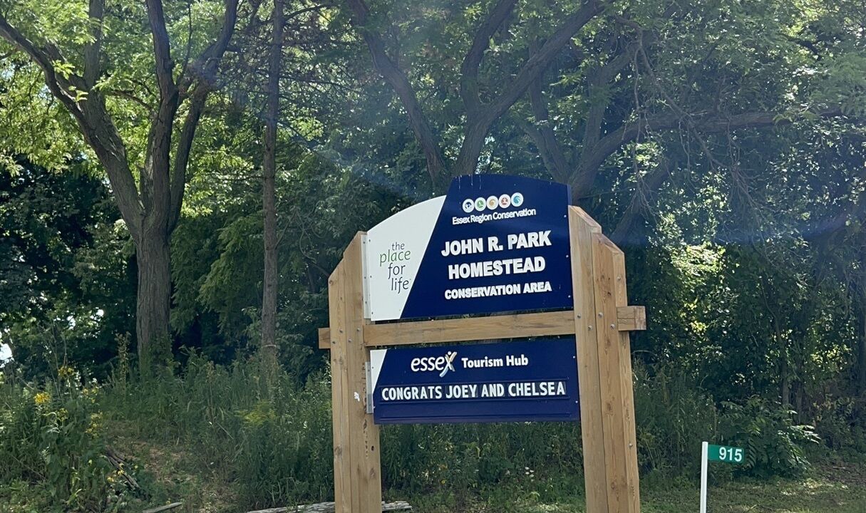 Photo of Outdoor in Town of Essex