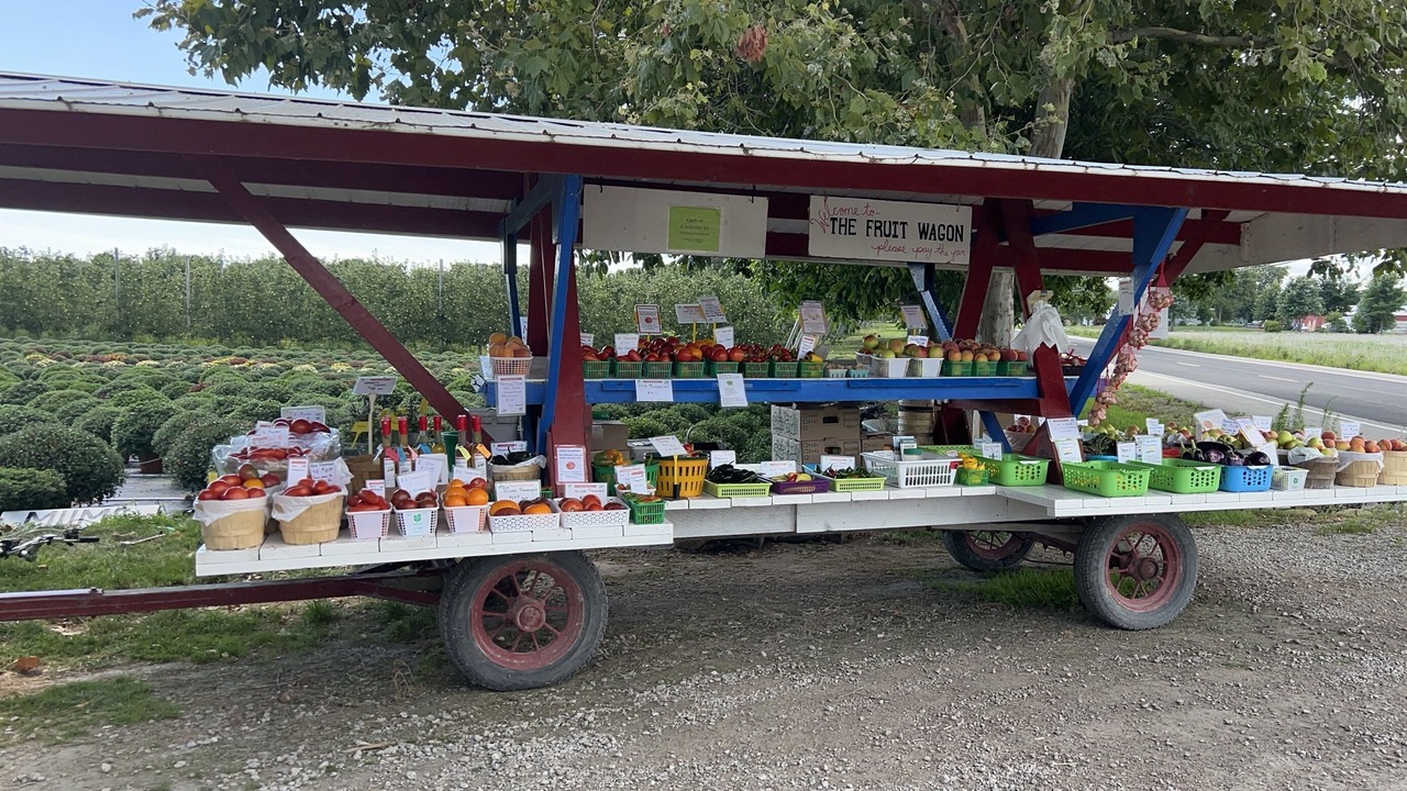 Photo of Outdoor in Town of Essex