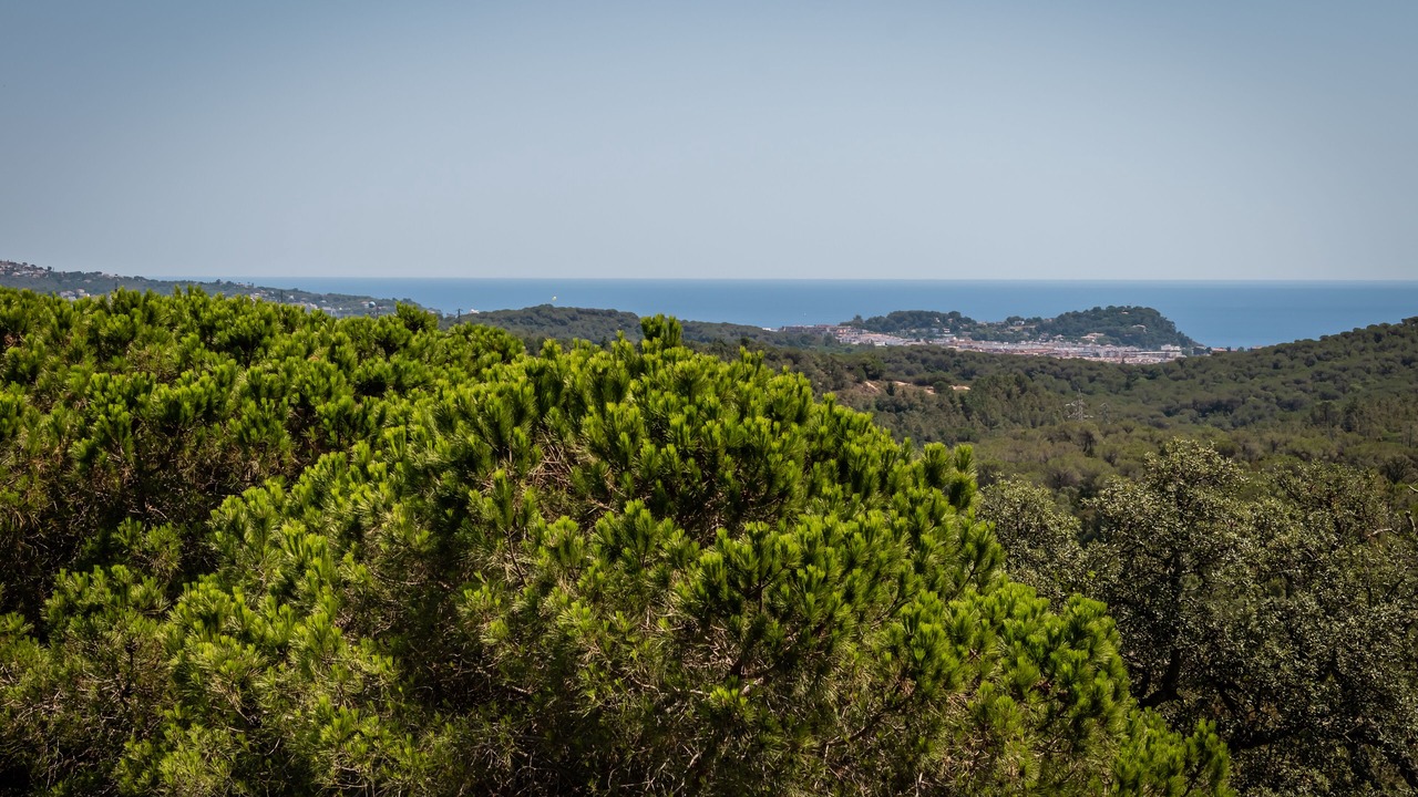 Photo of Bedroom in Lloret de Mar
