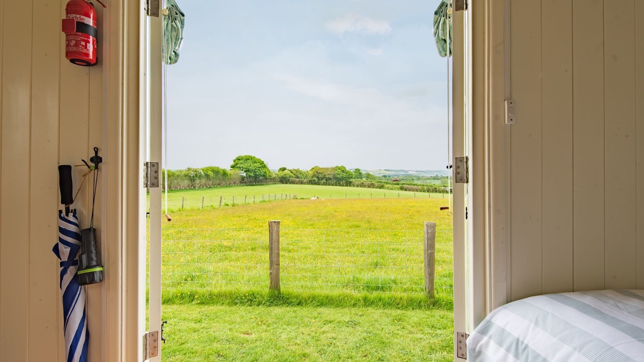 Photo of Others in Ashford