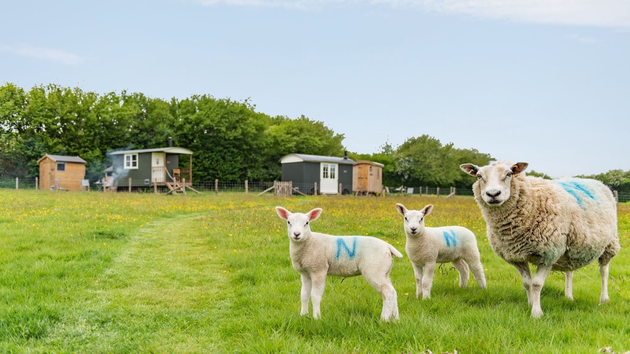 Photo of Outdoor in Ashford