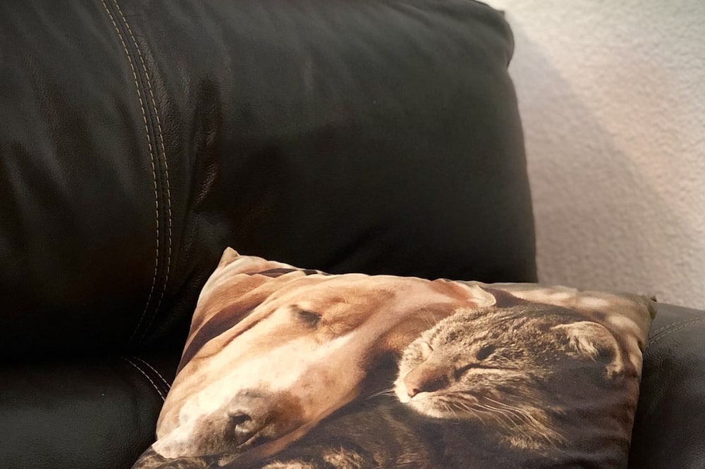 Photo of Bedroom in Courbouzon