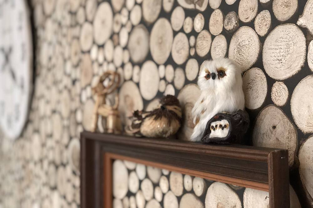 Photo of Bedroom in Courbouzon