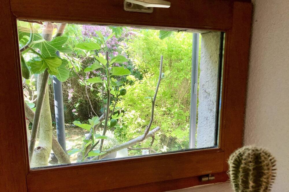 Photo of Others in Courbouzon