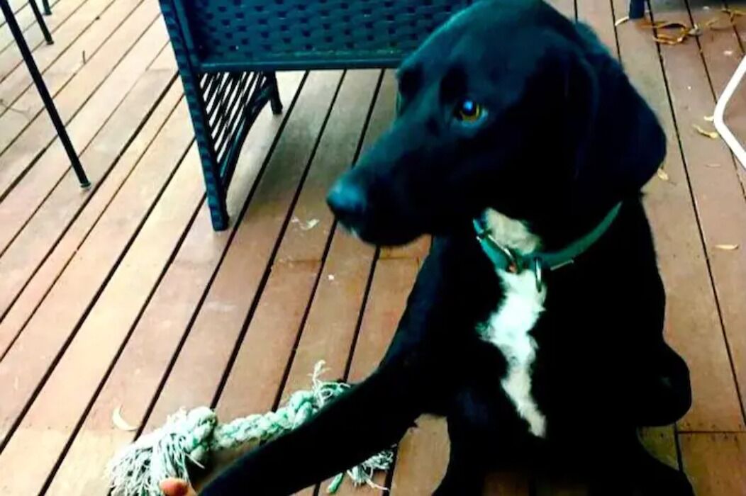 Photo of Others in Donvale