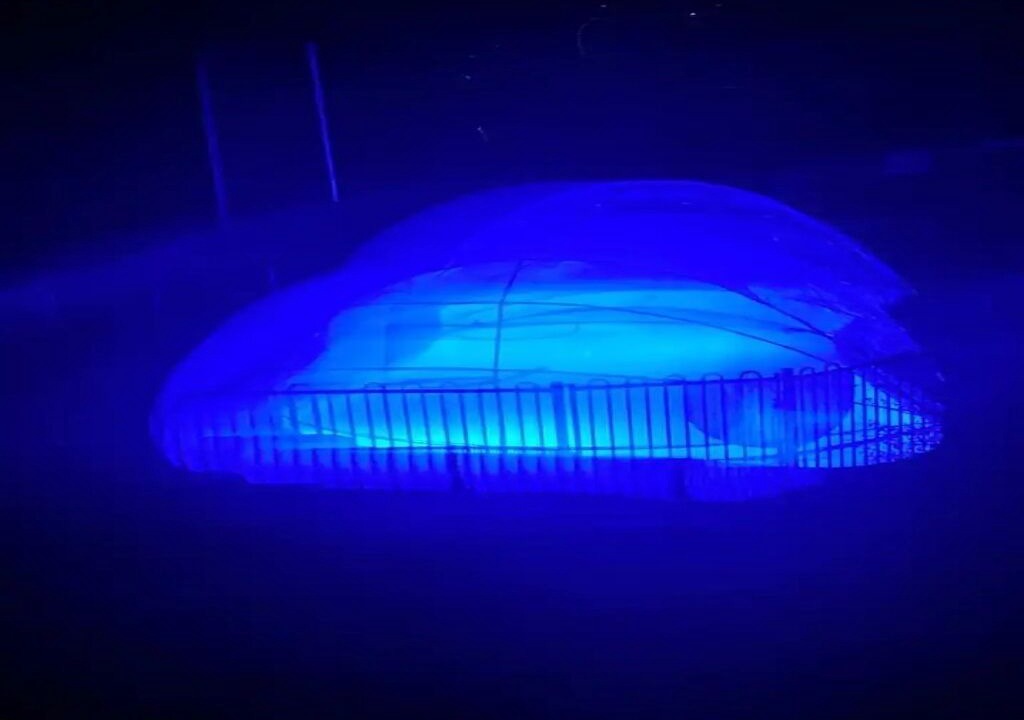 Photo of Outdoor in Donvale