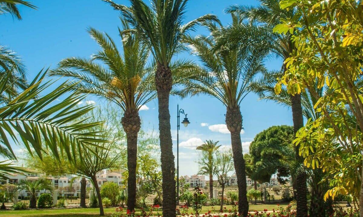 Photo of Outdoor in Sucina