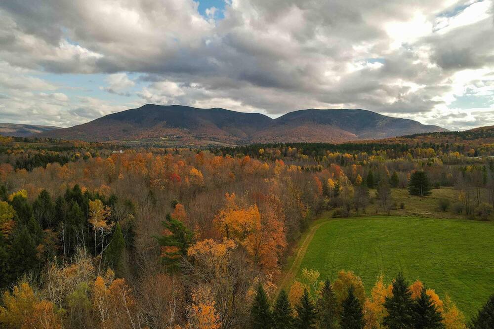 Photo of Others in Danby