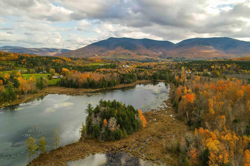 Photo of Others in Danby