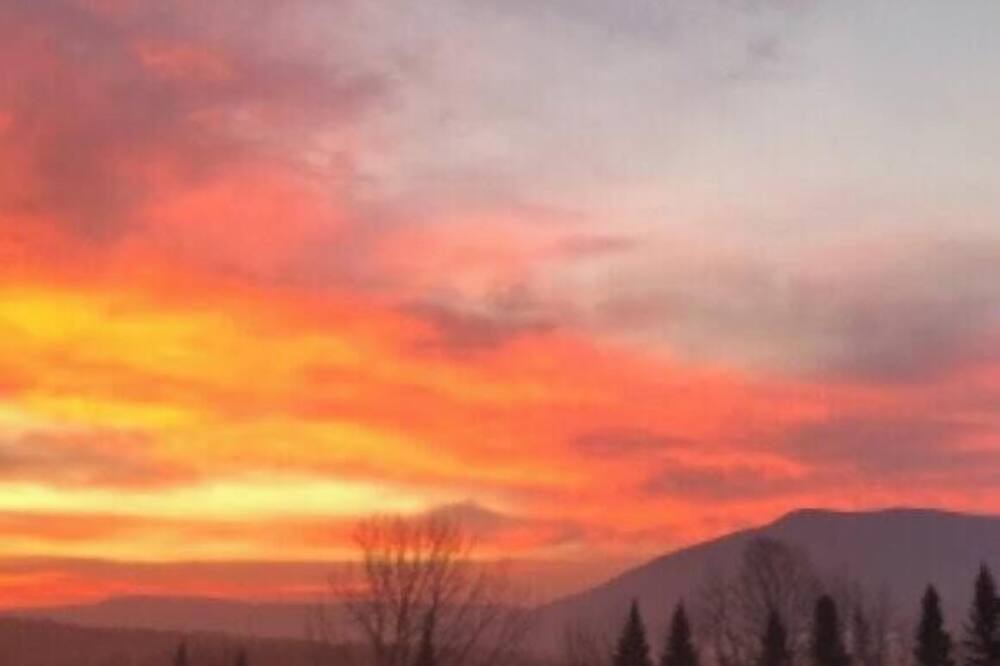 Photo of Others in Danby