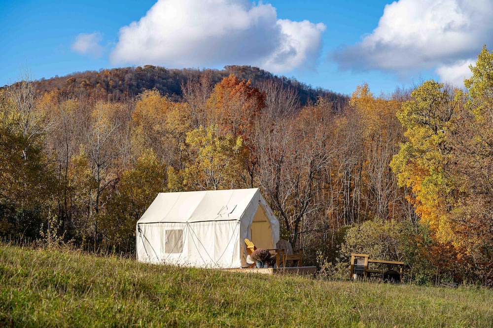 Photo of Others in Danby